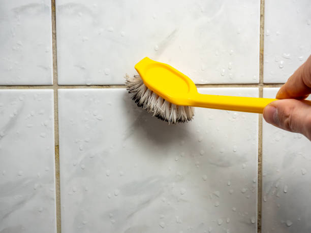 Best Same-Day Mold Removal  in Limesa, CA