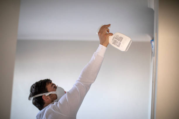Best Mold Damage Repair  in Limesa, CA