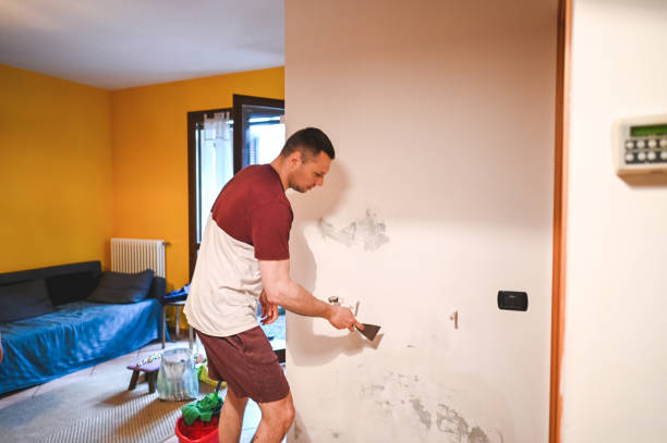 Best Toxic Mold Removal  in Limesa, CA